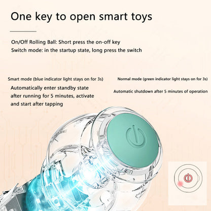 Interactive Cat Ball