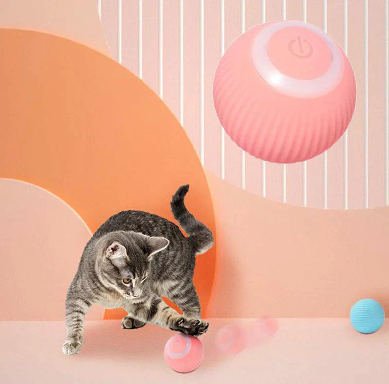 Interactive Cat Ball