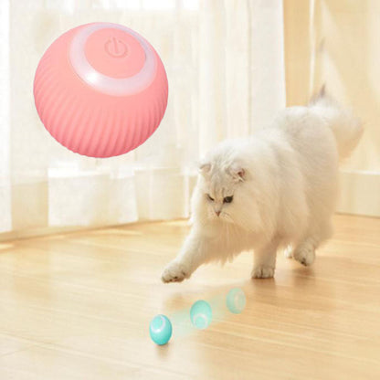 Interactive Cat Ball