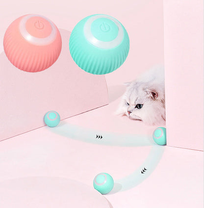 Interactive Cat Ball